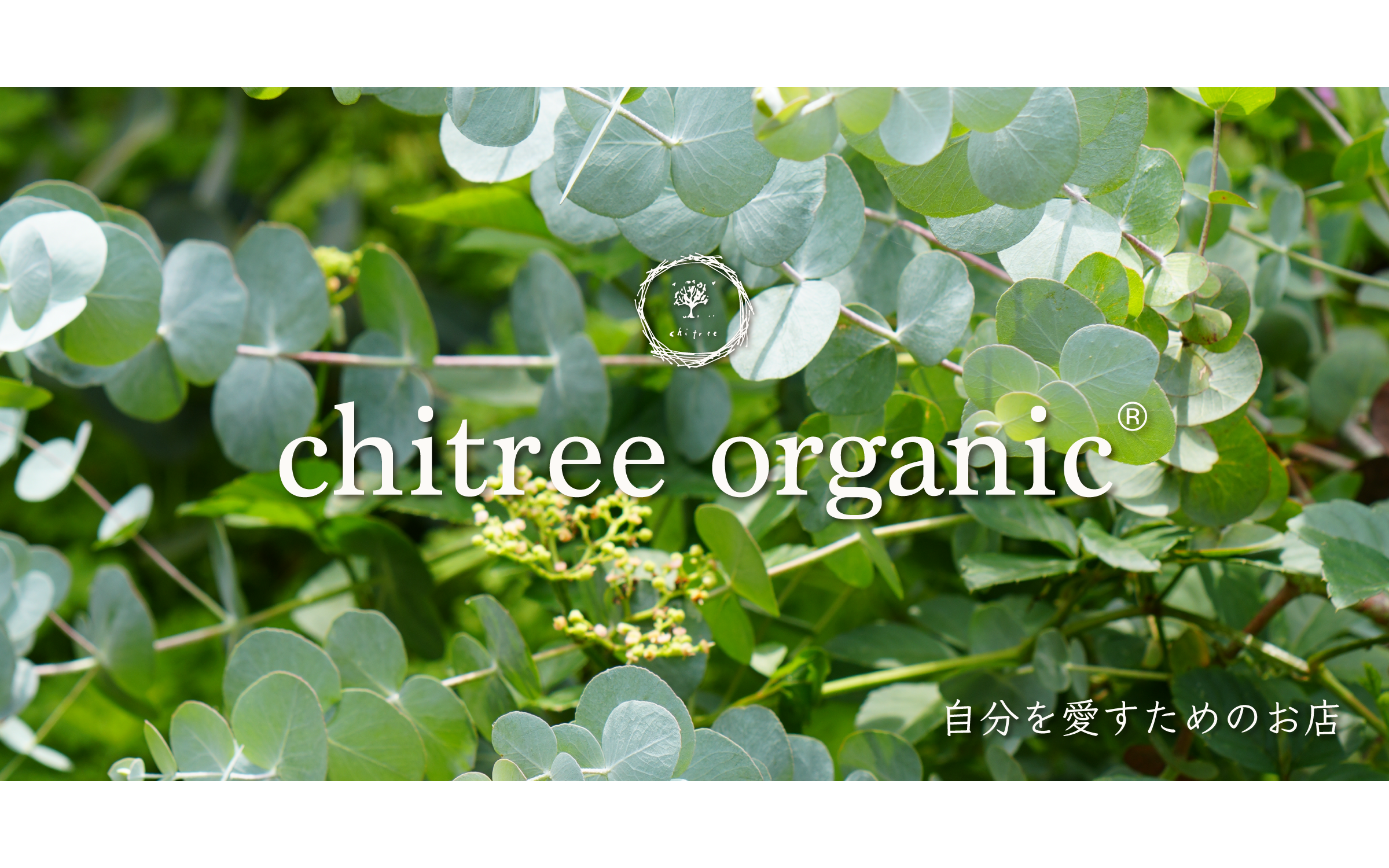 chitree｜organic&natural